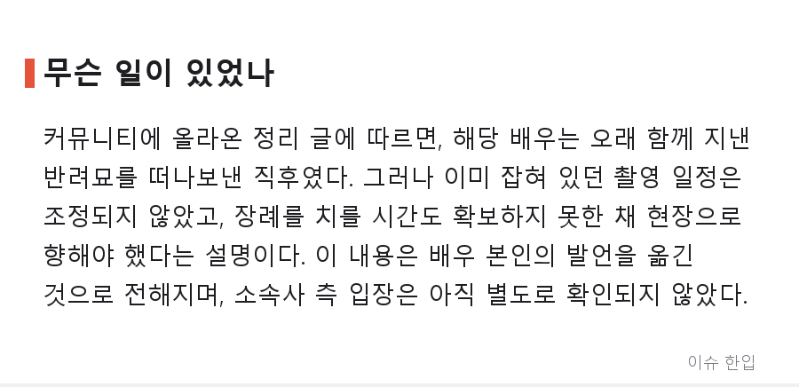 반려묘 유해를 냉장고에 둔 채 촬영장으로: 한 일본 배우의 활동 중단 소식이 남긴 질문 - 2/8