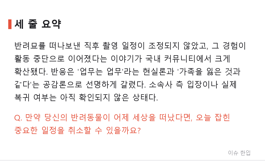 반려묘 유해를 냉장고에 둔 채 촬영장으로: 한 일본 배우의 활동 중단 소식이 남긴 질문 - 8/8