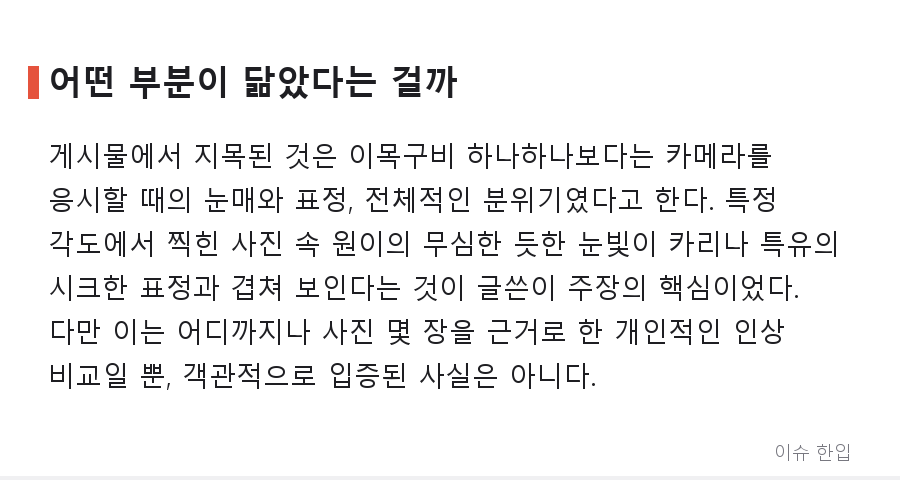 에스파 카리나 닮았다는 신인 걸그룹 멤버, 사진 한 장에 커뮤니티 '들썩' - 3/7